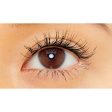 KANEBO Separate Long Lash CC Hot on Sale