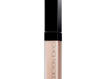 ADDICTION Skin Reflect Fix Concealer Online Sale