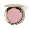 SNIDEL BEAUTY Skin Glow Blush EX03 Limited Edition Fashion